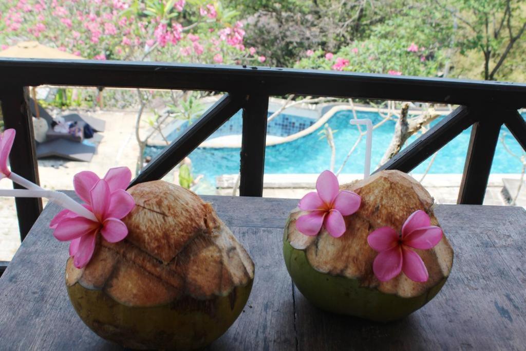 Lombok Coconut Hotel Mangsit Zewnętrze zdjęcie